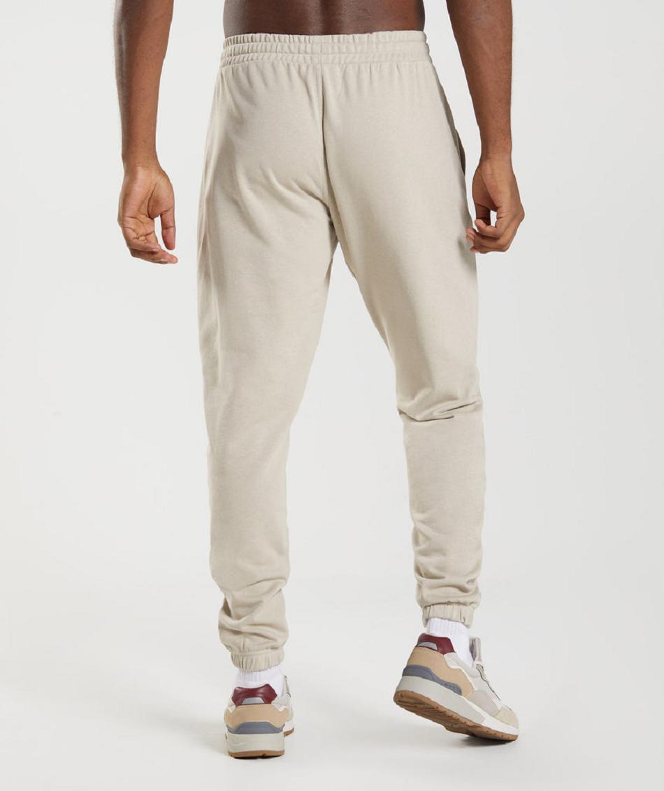 παντελονι jogger Gymshark Essential Oversized ανδρικα γκρι | GR_AS5973