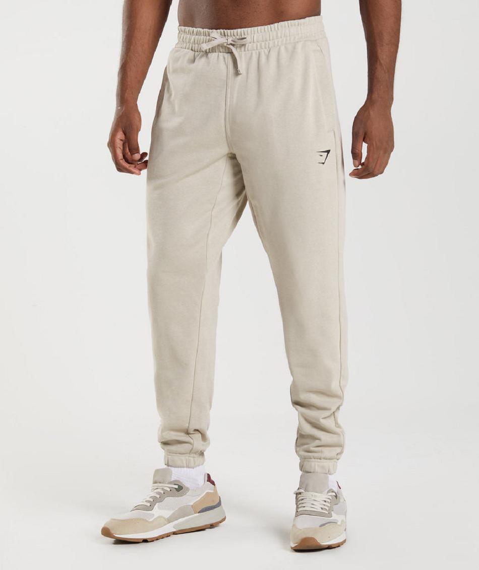 παντελονι jogger Gymshark Essential Oversized ανδρικα γκρι | GR_AS5973