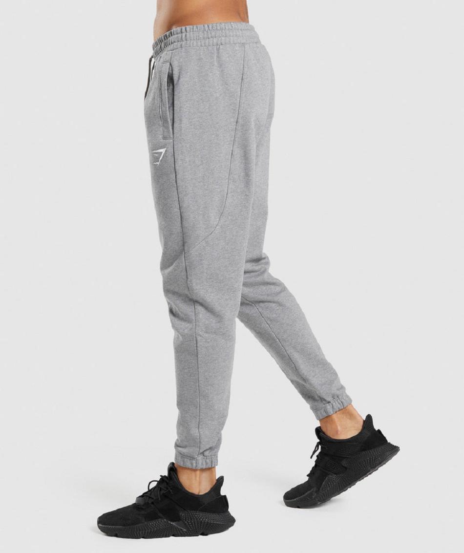 παντελονι jogger Gymshark Essential ανδρικα γκρι | GR_IM2745