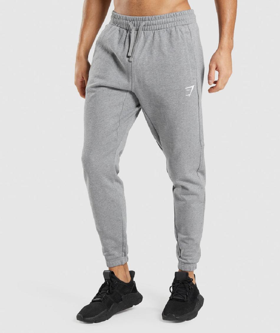 παντελονι jogger Gymshark Essential ανδρικα γκρι | GR_IM2745