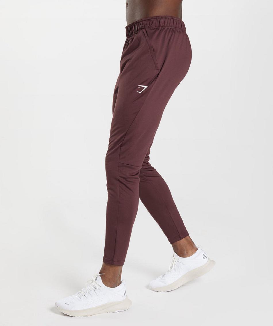 παντελονι jogger Gymshark Sport ανδρικα μπορντο | GR_N8131