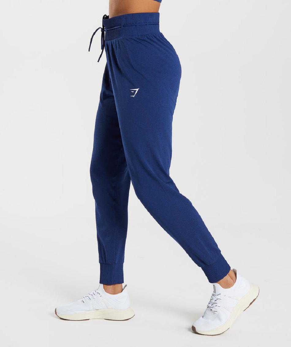 παντελονι jogger Gymshark Vital Seamless 2.0 γυναικεια μπλε | GR_CG9230