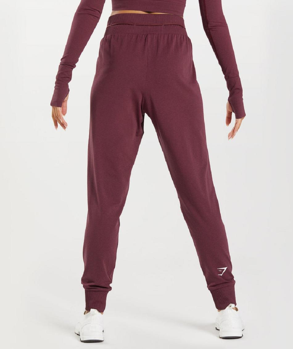 παντελονι jogger Gymshark Vital Seamless 2.0 γυναικεια μπορντο | GR_TA3463