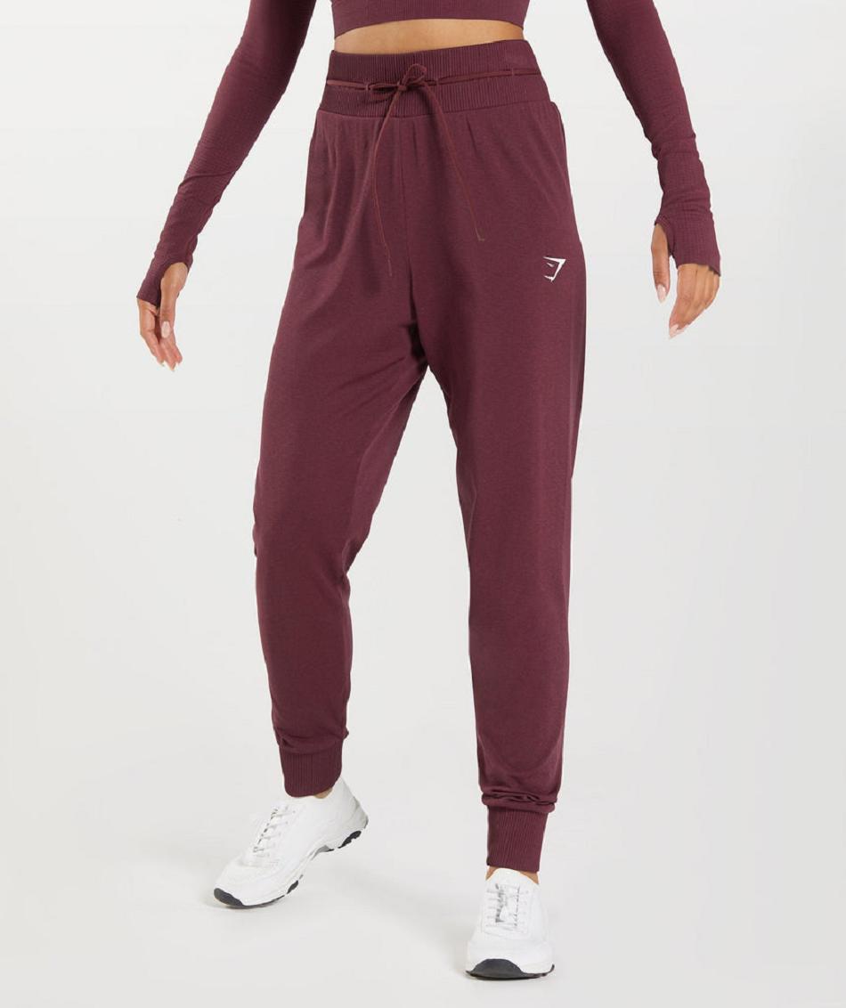 παντελονι jogger Gymshark Vital Seamless 2.0 γυναικεια μπορντο | GR_TA3463